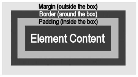 The CSS Box Model