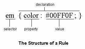 The structure of a rule