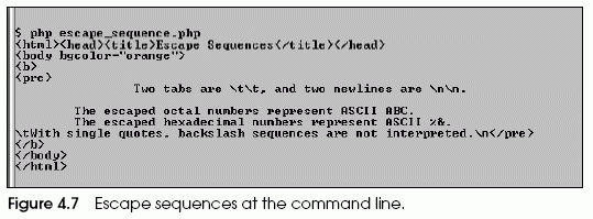 Figure 4.7 Escape sequences at the command line.