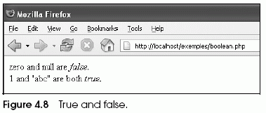 Figure 4.8 True and false.